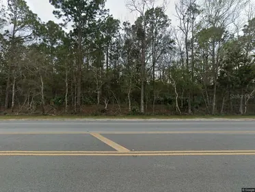 BUNNELL FL Property