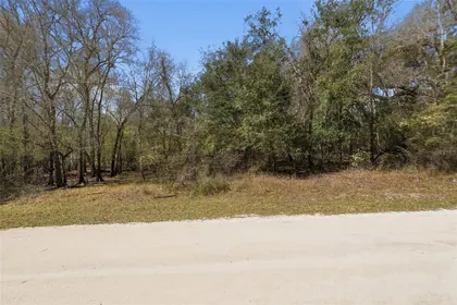 WEBSTER FL Property