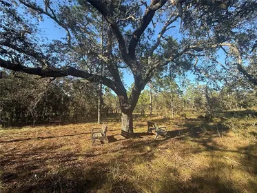 MORRISTON FL Property