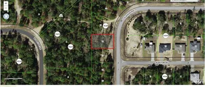 CITRUS SPRINGS FL Property