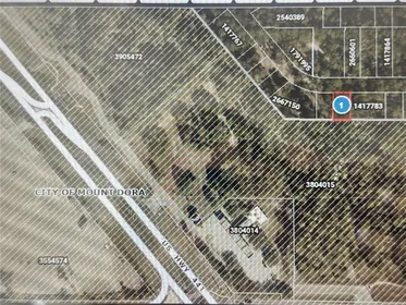 MOUNT DORA FL Property