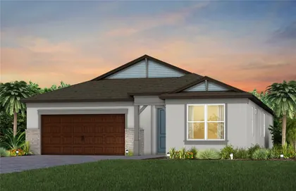 WESLEY CHAPEL FL Home