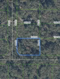 SEBRING FL Property
