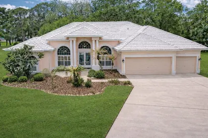 VALRICO FL Home