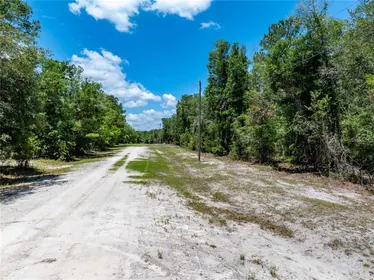 FORT WHITE FL Property