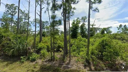 PORT CHARLOTTE FL Property