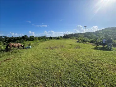 CAROLINA PR Property