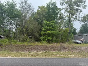 INTERLACHEN FL Property
