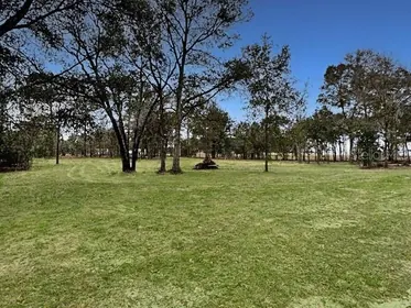 MORRISTON FL Property