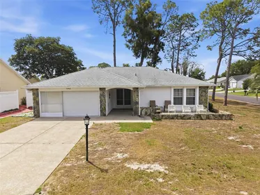 SPRING HILL FL Home