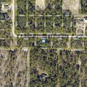 BROOKSVILLE FL Property