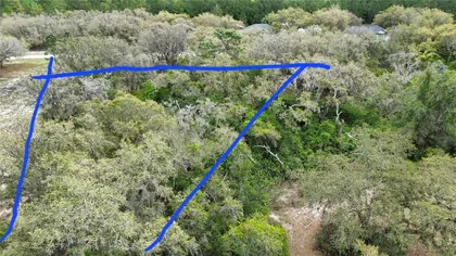 CLERMONT FL Property
