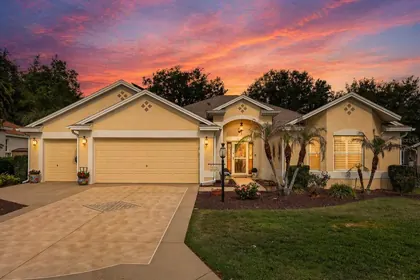 THE VILLAGES FL Home