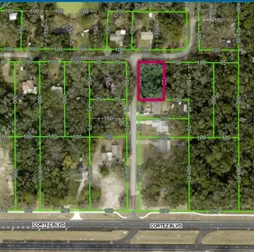 DADE CITY FL Property