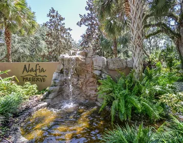 BRANDON FL Property