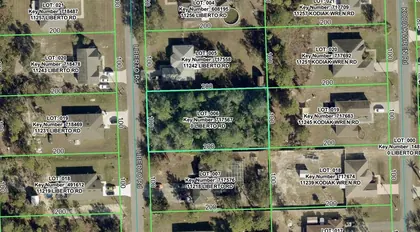 WEEKI WACHEE FL Property