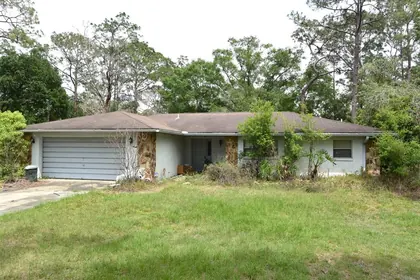 WESLEY CHAPEL FL Home