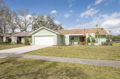 LUTZ FL Home
