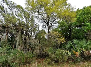 NORTH PORT FL Property