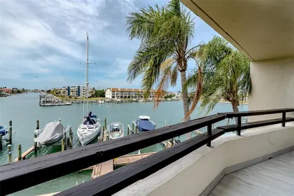 TIERRA VERDE FL Home