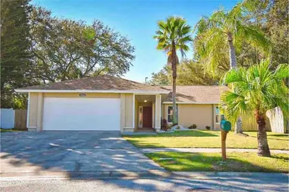 TAMPA FL Home