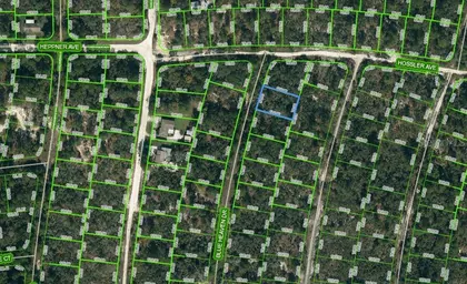 LAKE PLACID FL Property
