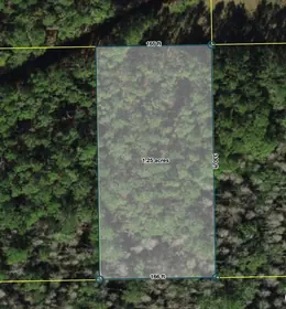 POLK CITY FL Property