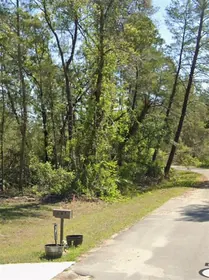 OCKLAWAHA FL Property