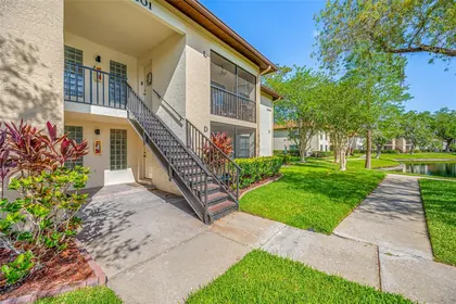 PALM HARBOR FL Home