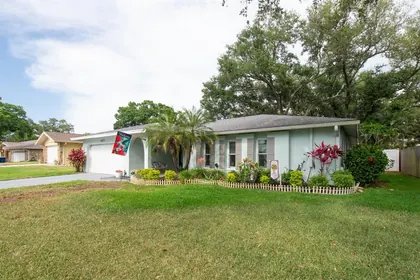 CLEARWATER FL Home