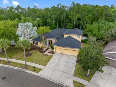 ODESSA FL Home
