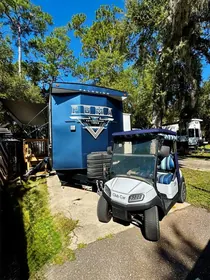 SALT SPRINGS FL Property