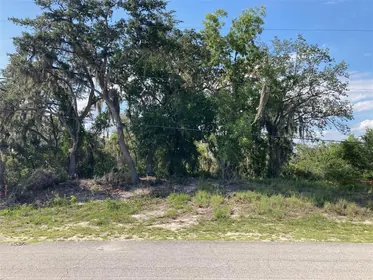 BABSON PARK FL Property