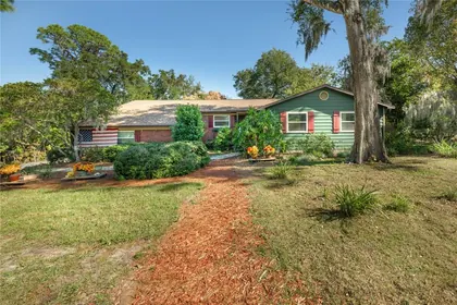 MOUNT DORA FL Home