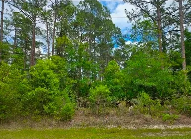 BUNNELL FL Property