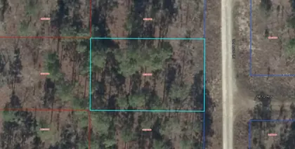 WILLISTON FL Property