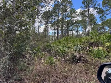 DELAND FL Property