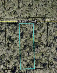 BUNNELL FL Property