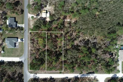 WEEKI WACHEE FL Property