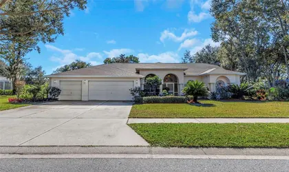 ODESSA FL Home