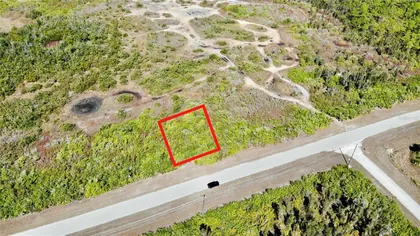 PLACIDA FL Property