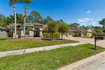 PALM HARBOR FL Home