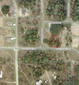 OCKLAWAHA FL Property