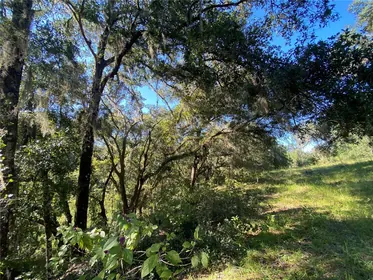 FLORAL CITY FL Property