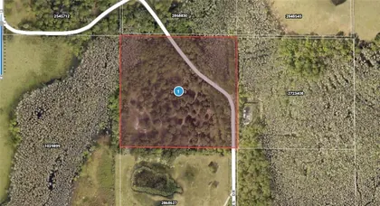 GROVELAND FL Property