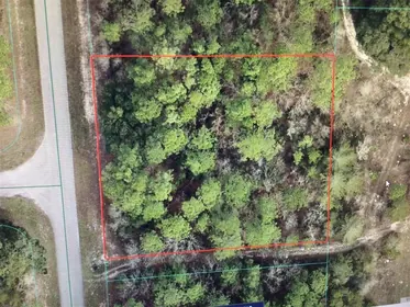 OCALA FL Property