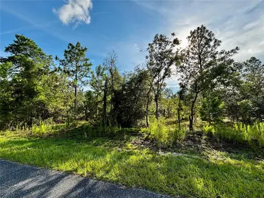 DUNNELLON FL Property