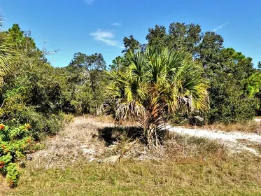 NORTH PORT FL Property