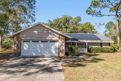 LUTZ FL Home