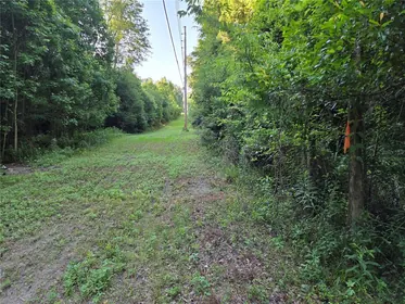 ALACHUA FL Property